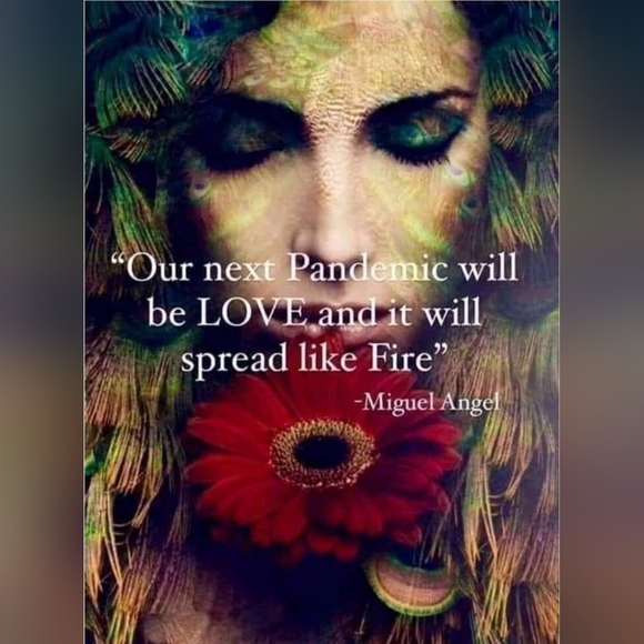 Meet your Posher, Shariba - Picture 1 of 1